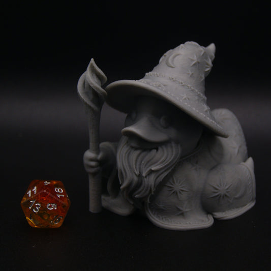 Wizard Duck
